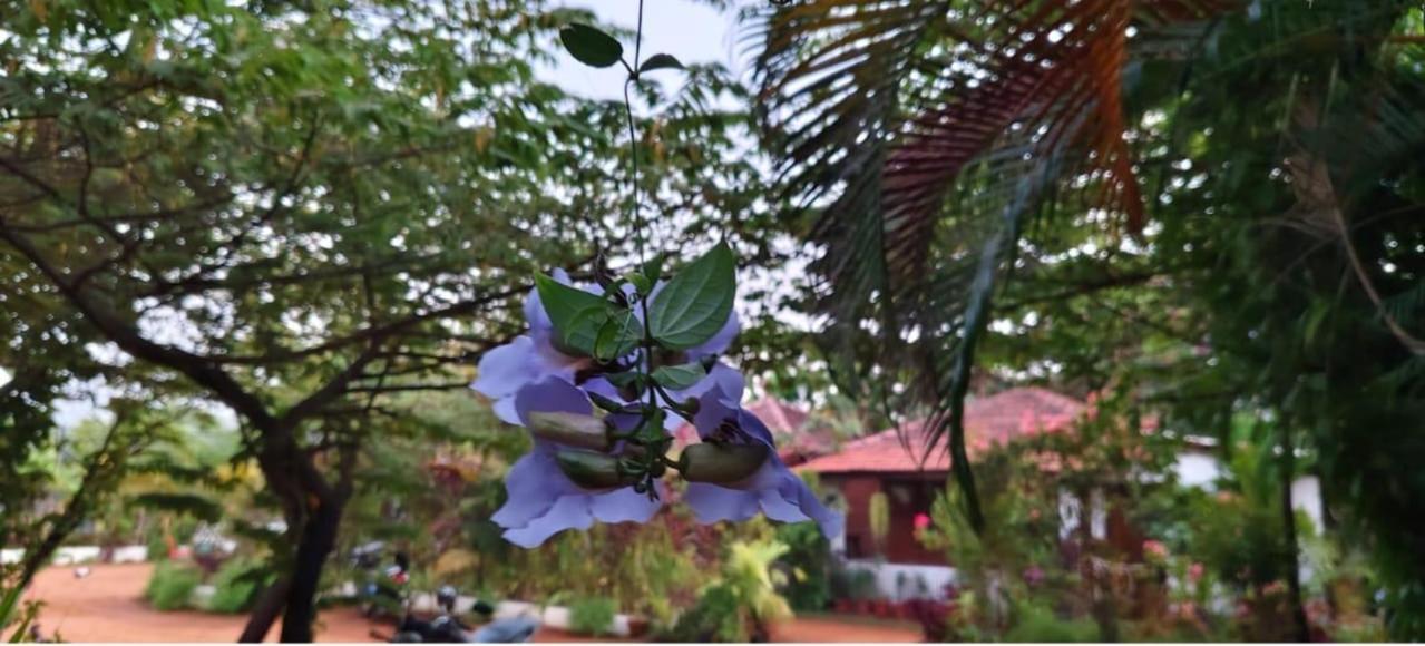 Niyati Home Stay Gokarna  Exterior foto